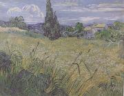Green Wheat Field with Cypress (nn04), Vincent Van Gogh